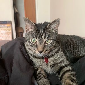 Meet your Posher, Jack